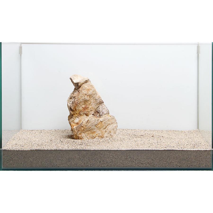 一点物 木化石 最安値で 親石 ８９６５１２ 日本産 ６０ｃｍ水槽用