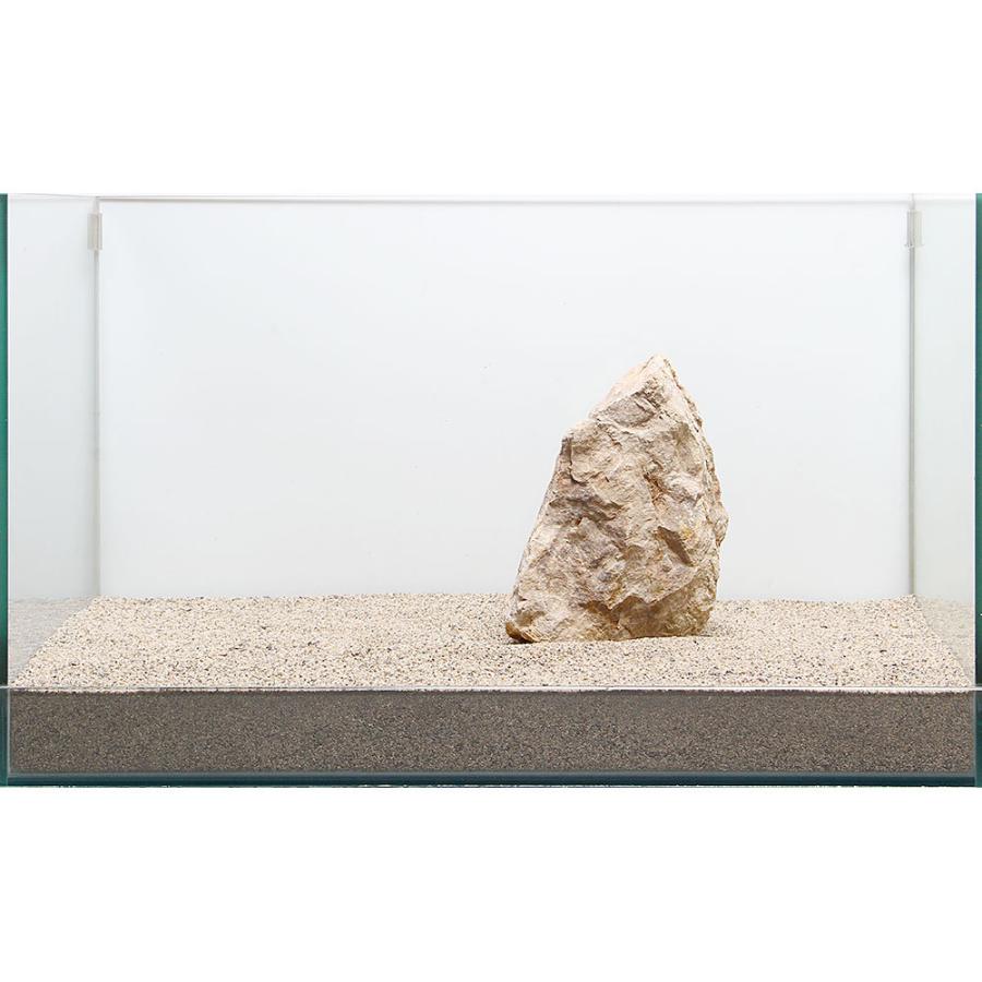 一点物　木化石　親石　６０ｃｍ水槽用　８９６５２１