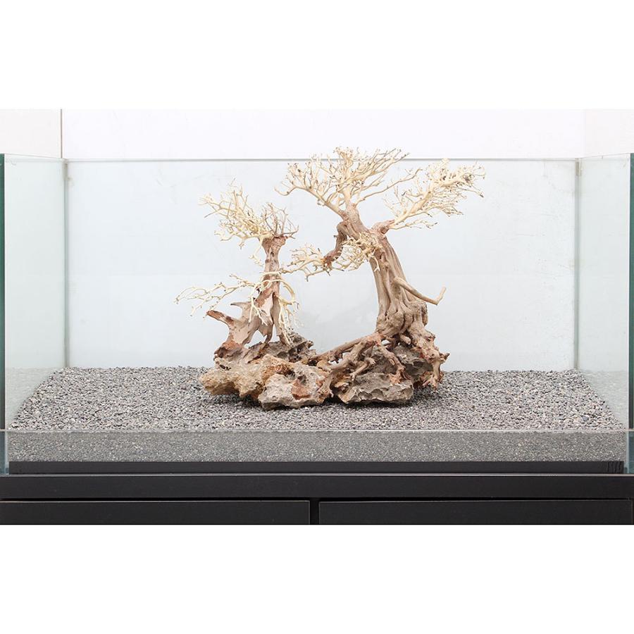 一点物 盆栽流木 大型水槽用 ８９６６３５ 沖縄別途送料 チャーム Charm Paypayモール店 通販 Paypayモール