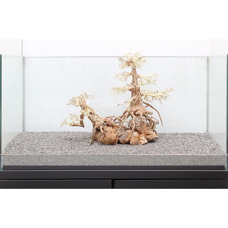 一点物 盆栽流木 大型水槽用 ８９６６３６ 沖縄別途送料 チャーム Charm Paypayモール店 通販 Paypayモール