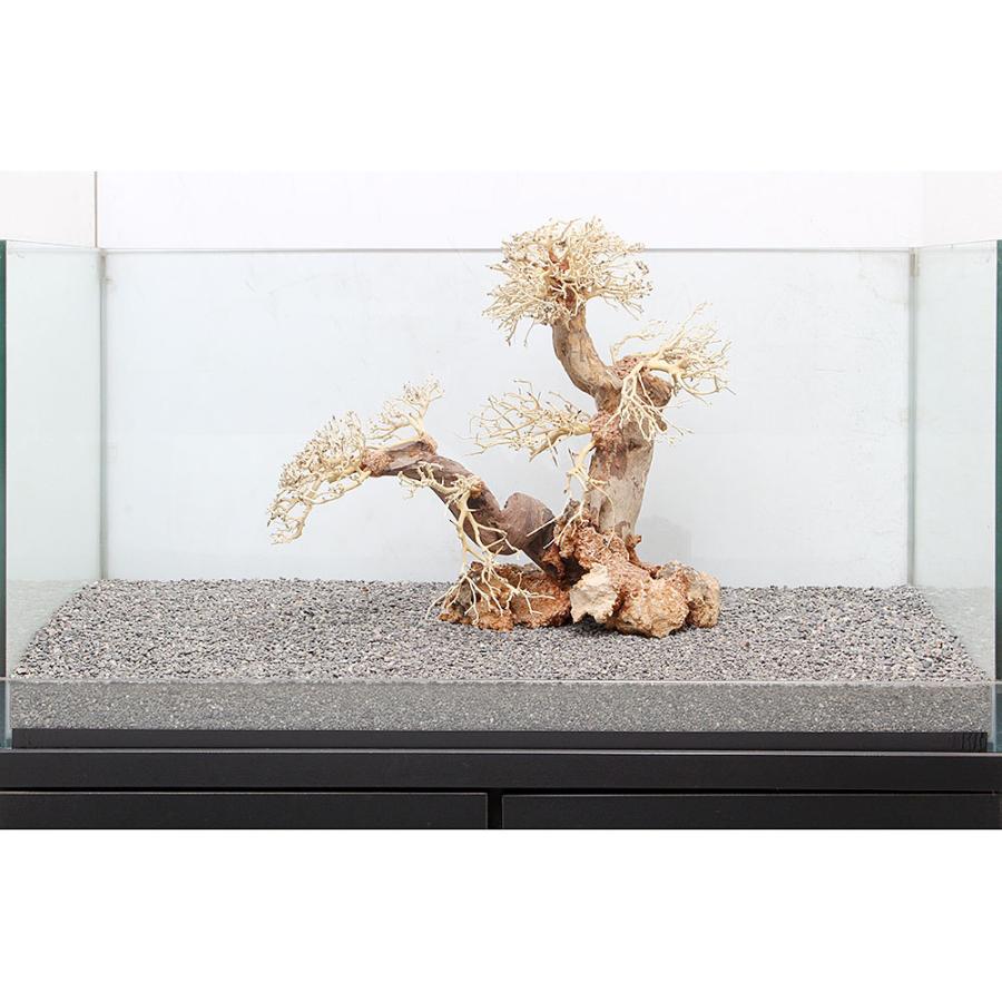 一点物 盆栽流木 大型水槽用 ８９６６３７ チャーム Charm Paypayモール店 通販 Paypayモール
