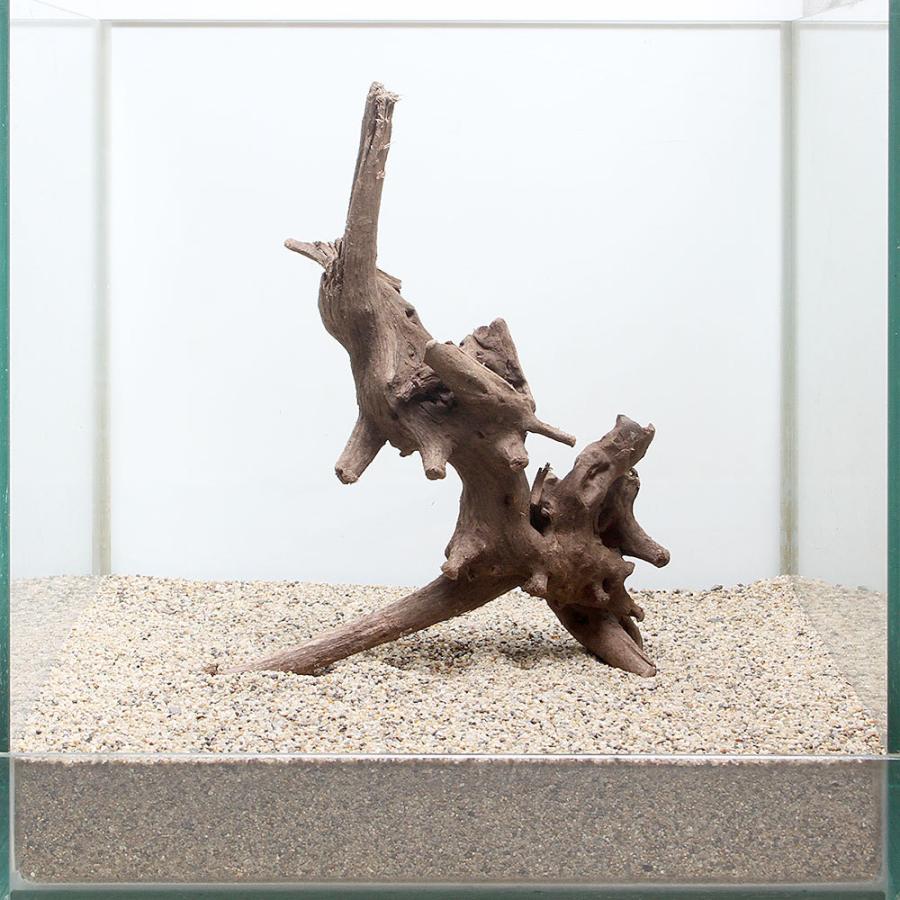 一点物 上質流木 雅 ３０ｃｍ水槽用 ８９６６６２ チャーム Charm Paypayモール店 通販 Paypayモール