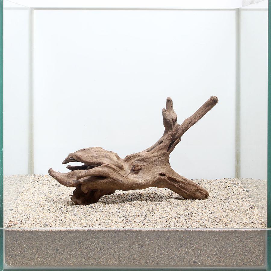 一点物 上質流木 雅 ３０ｃｍ水槽用 ８９６６７４ チャーム Charm Paypayモール店 通販 Paypayモール