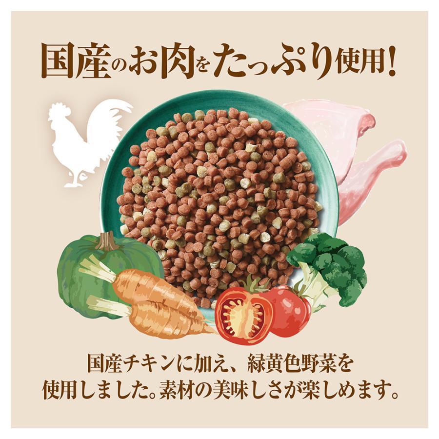 ミンチスペシャル　シニア　超小型・小型犬　緑黄色野菜入り　７歳以上　１．２ｋｇ（小分け１０パック） | Sunrise（マルカン） | 02