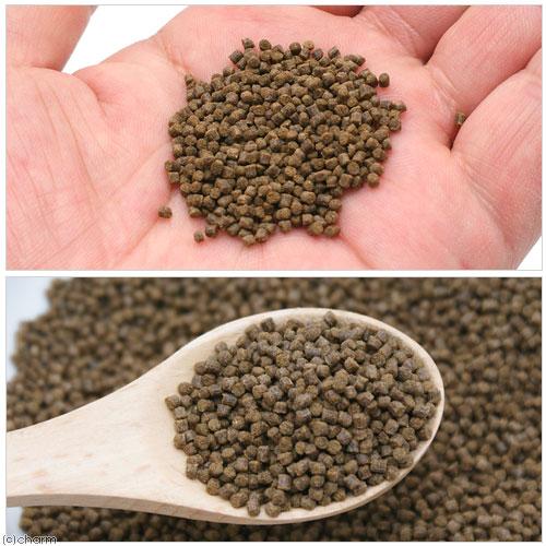 Leaf Corp ff num800 金魚用 粘膜サポートフード (沈下 Leaf Corp ff num800 金魚用 粘膜サポートフード (沈下