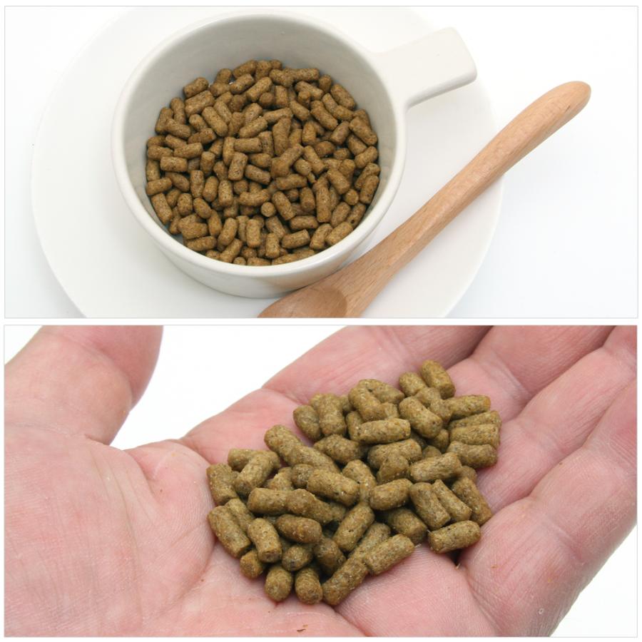 Leaf Corp 国産 ハリネズミの食事 300g サナギ粉＆ミルワーム粉