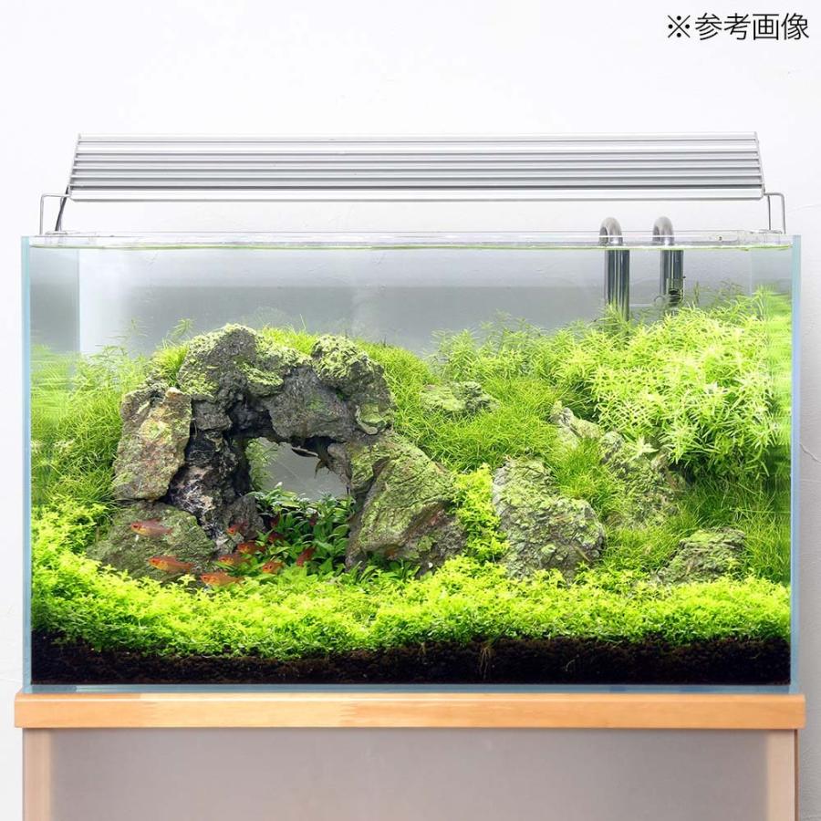 お気に入り 魚が簡単に飼える リーフプロソイル 水草用 ノーマル ３ｌ お一人様９点限り East Wind Jp