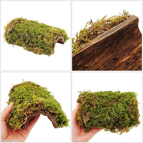 Leaf Corp 爬虫類 シェルター 天然素材のモスシェルター（ハイゴケ