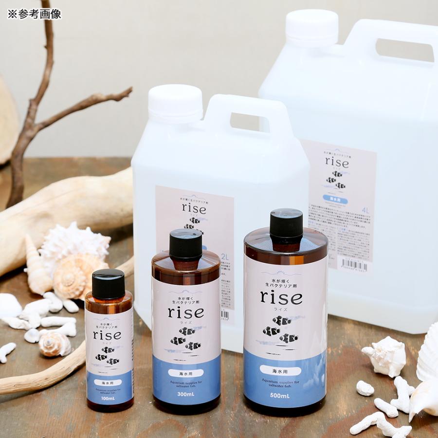 Leaf Corp 水が輝く生バクテリア剤 rise ライズ 海水用 4L 好