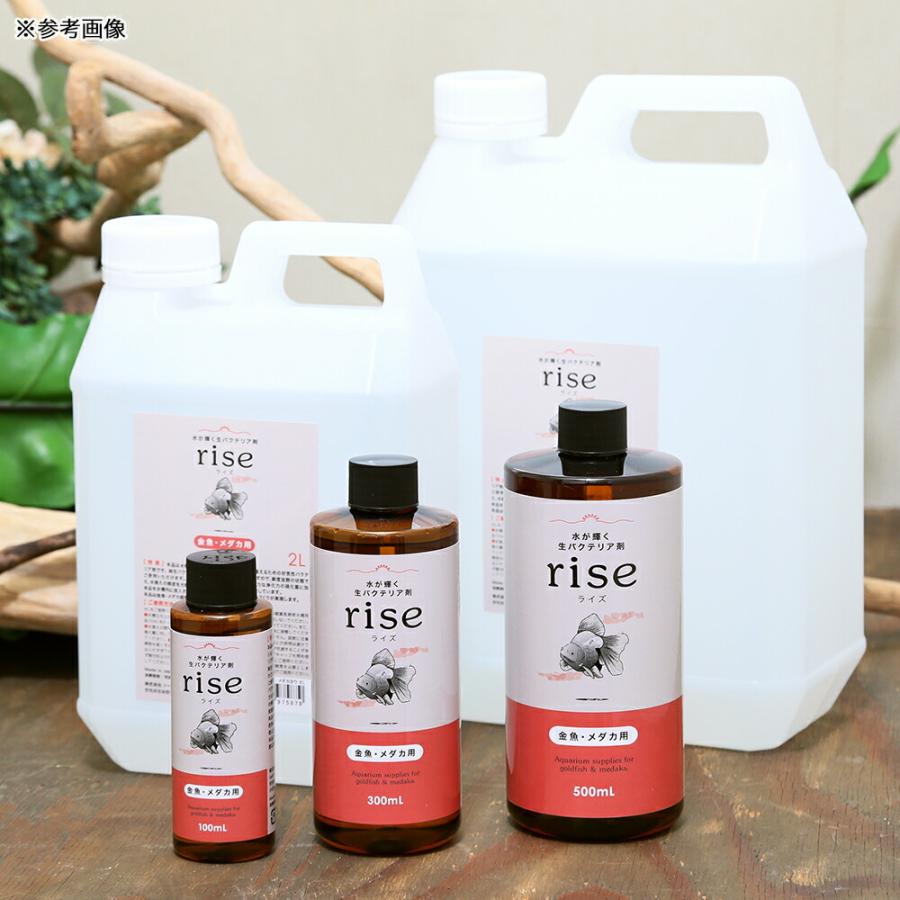 Leaf Corp 水が輝く生バクテリア剤 rise ライズ 金魚 メダカ用
