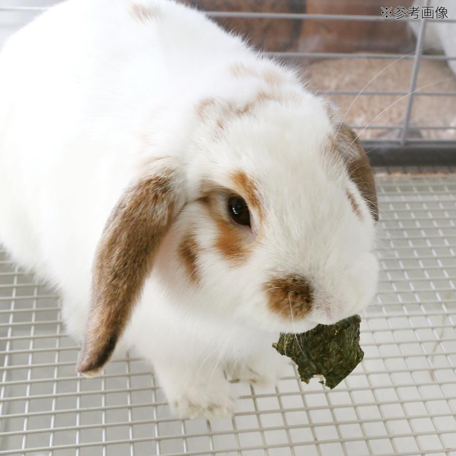 国産　牧草チップス　イタリアンライグラス　１０ｇ　小動物のおやつ　無添加　無着色 | Leaf Corp | 04