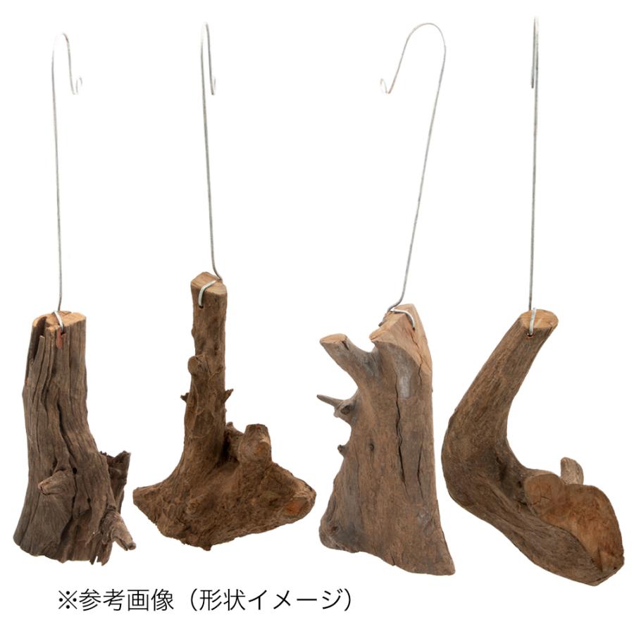 流木セット　チャーム Leaf Corp 形状お任せ ハンギング用流木 Sサイズ インテリア