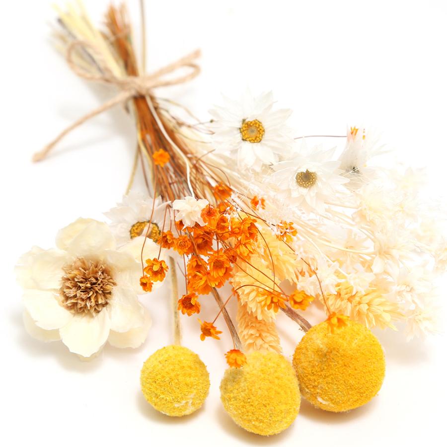 ドライフラワー ハニー ｓ １束 色おまかせ アソート 花材 21公式店舗