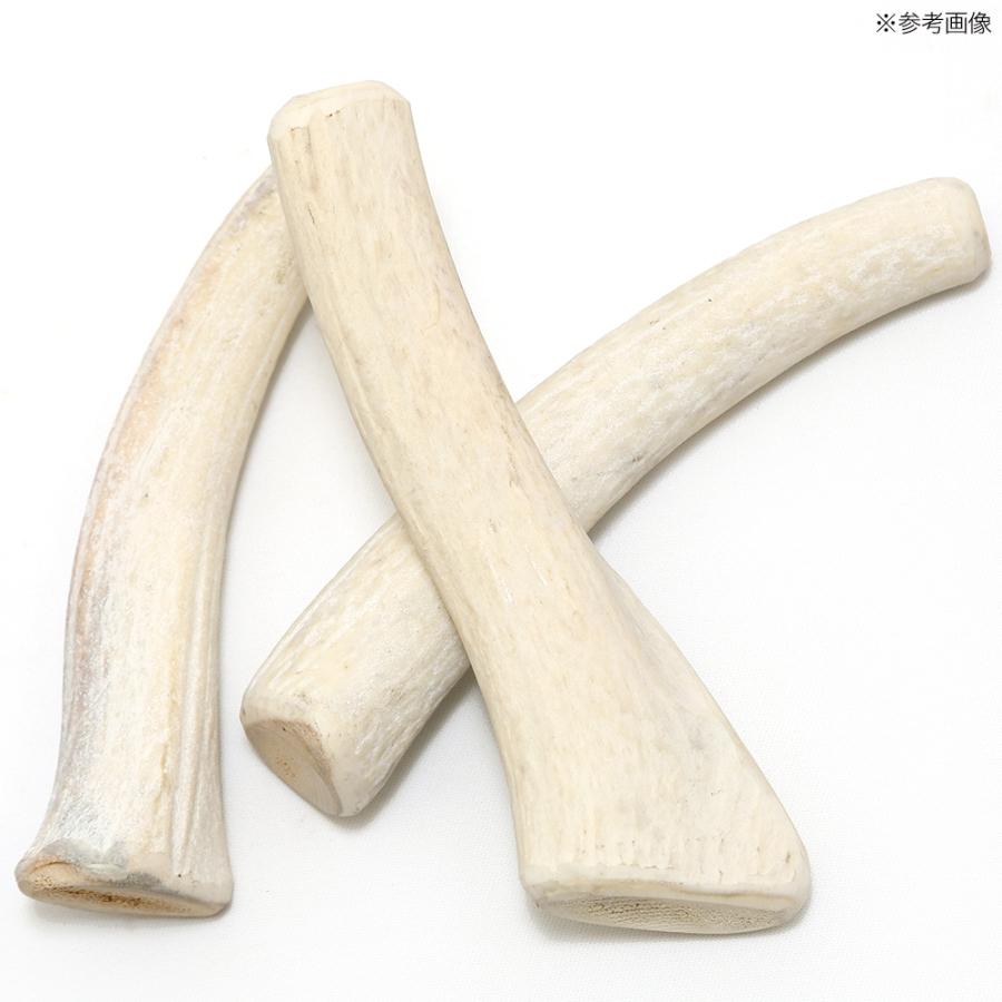 Leaf Corp 大型犬 超大型犬用 鹿の角 白 LLサイズ 1本 （長さ18