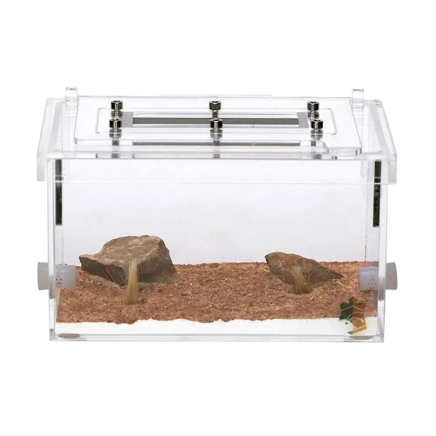 Leaf Corp リトルカーペンターズ アリ飼育用 レイアウト済み小餌場 蟻