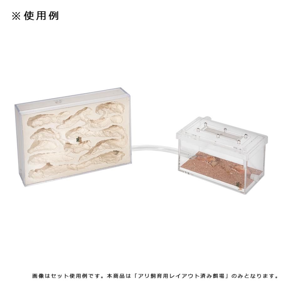 Leaf Corp リトルカーペンターズ アリ飼育用 レイアウト済み小餌場 蟻
