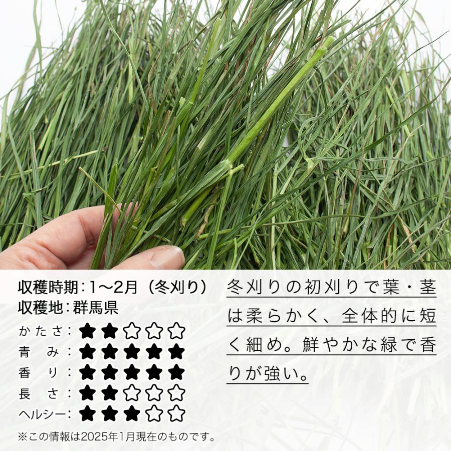 Leaf Corp 令和7年産 国産 やみつきイタリアンライグラス Leaf Corp 令和7年産 国産 やみつきイタリアンライグラス