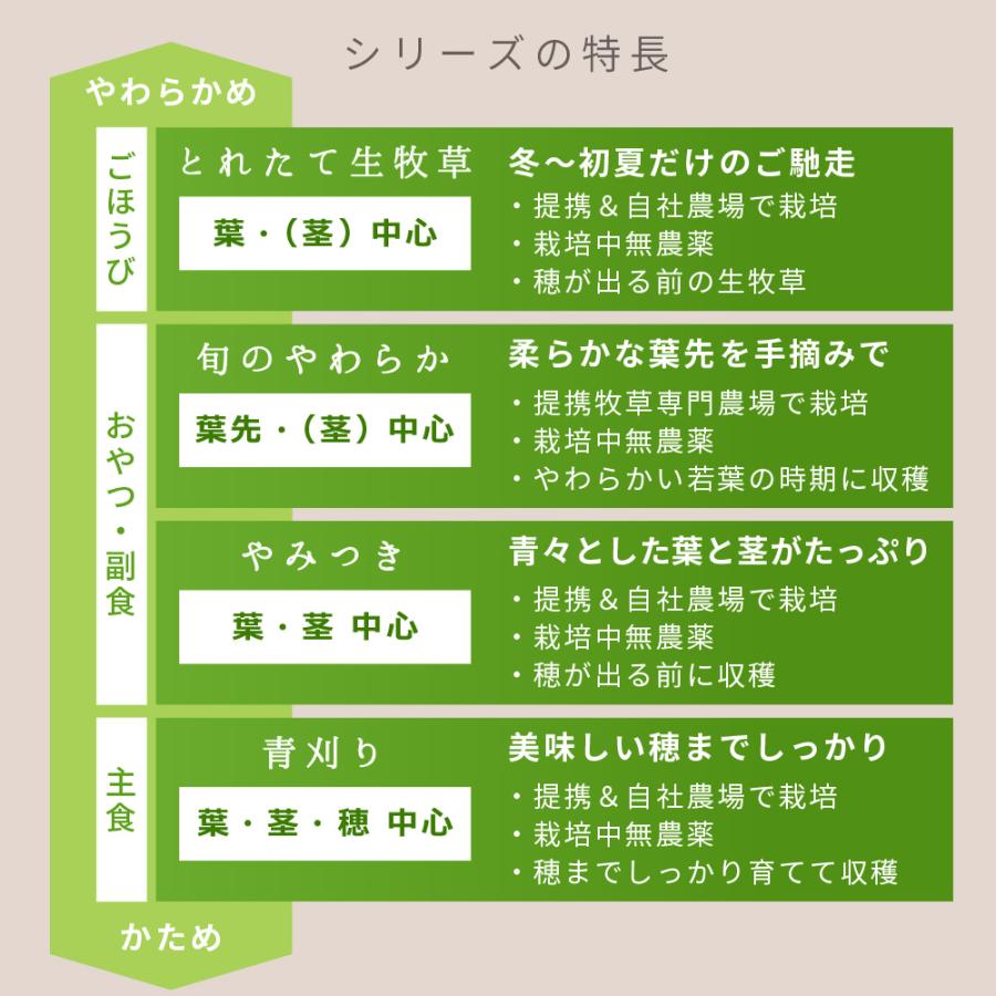 Leaf Corp 令和7年産 国産牧草 やみつきイタリアンライグラス