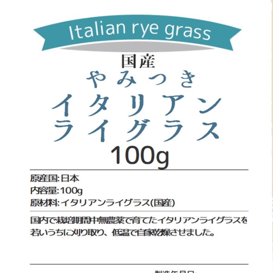 Leaf Corp 令和7年産 国産 やみつきイタリアンライグラス 100g