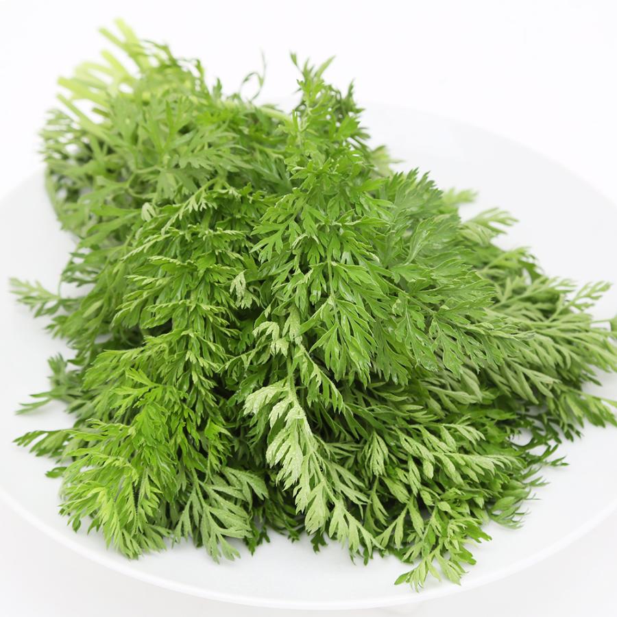観葉植物）国産 とれたて生葉っぱ にんじんの葉 100g うさぎ 陸 