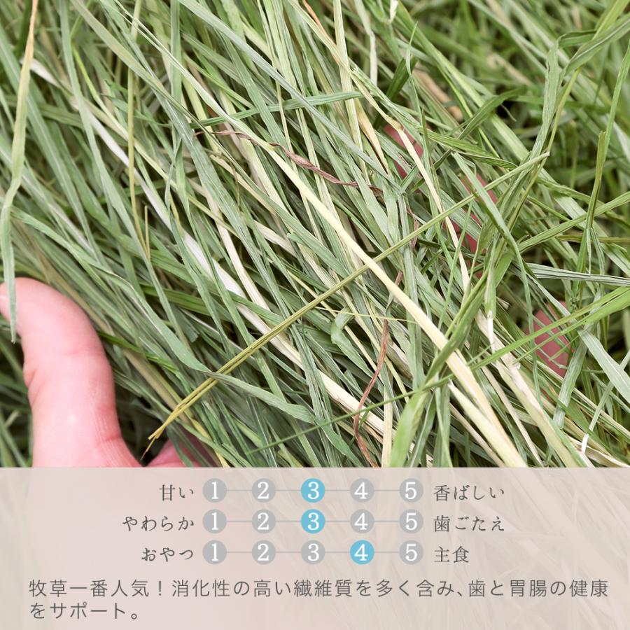Leaf Corp 令和8年産 国産牧草 やみつきチモシー 20g お試しサイズ