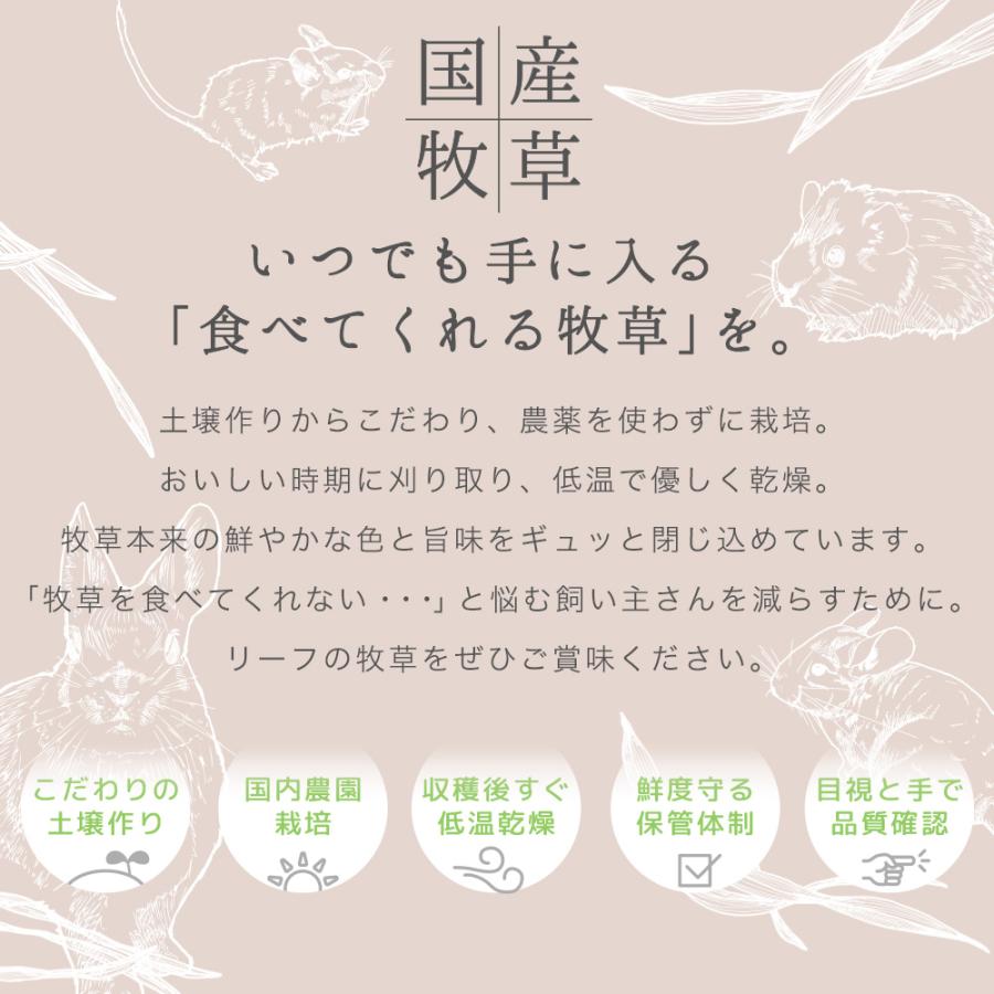 Leaf Corp 令和8年産 国産牧草 やみつきチモシー 20g お試しサイズ