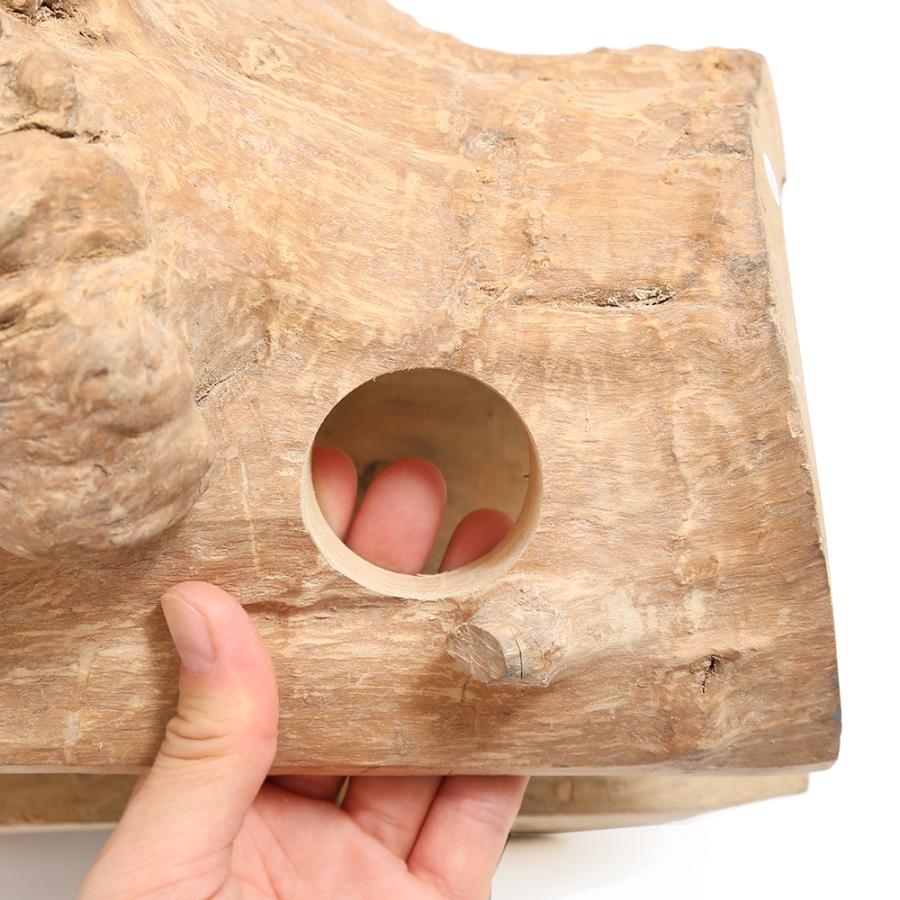 Leaf Corp 形状お任せ コーヒーの木の隠れ家シェルター M 爬虫類