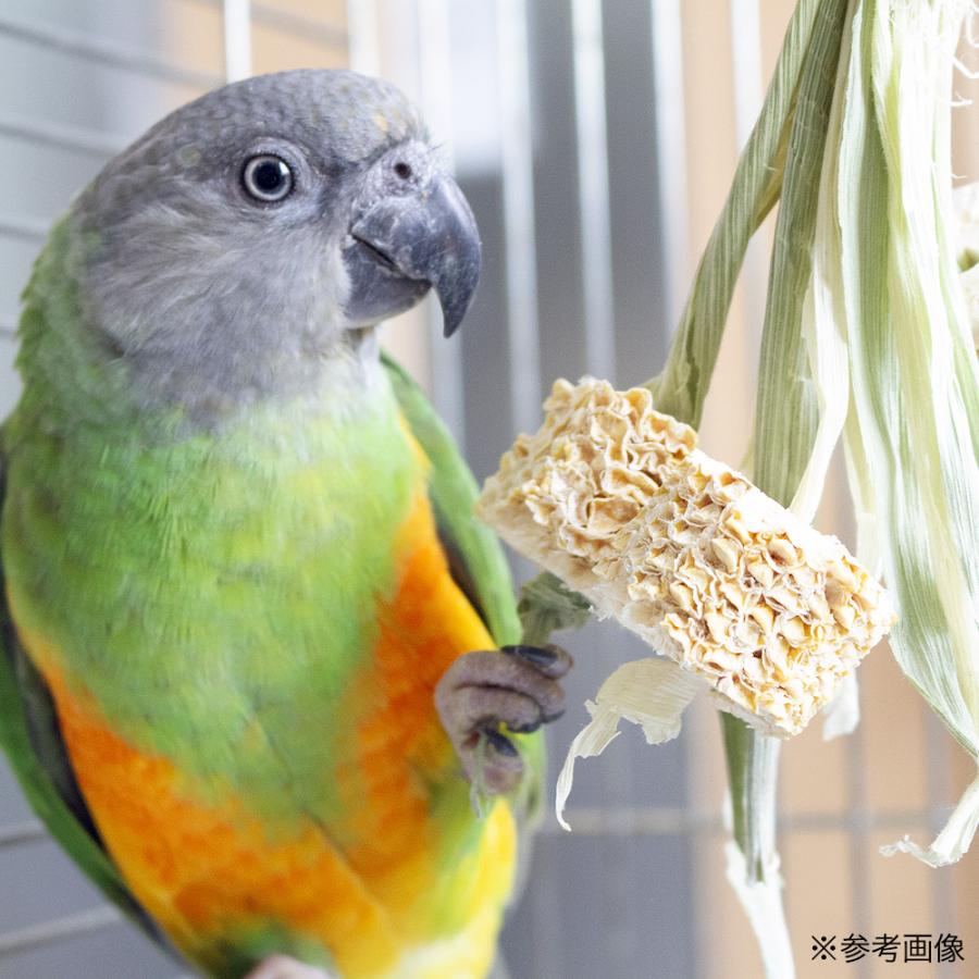 ハンドメイドのインコ用おもちゃ  オーダーページ インコのおもちゃ作り♪ Parakeet toys DIY - YouTube