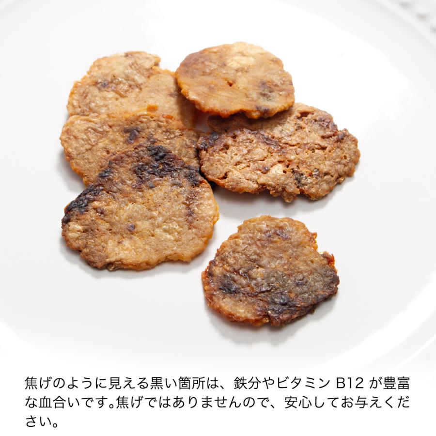 犬　おやつ　国産　サメせんべい　３０ｇ　無添加　無着色　ドッグフード | Leaf Corp | 04