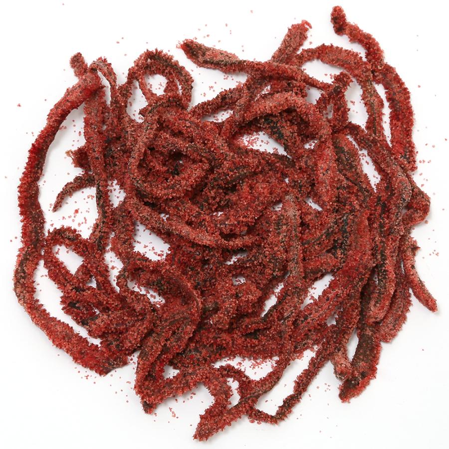 アオザメ幼体冷凍販売 アオザメ幼体冷凍販売 アオザメ幼体冷凍販売