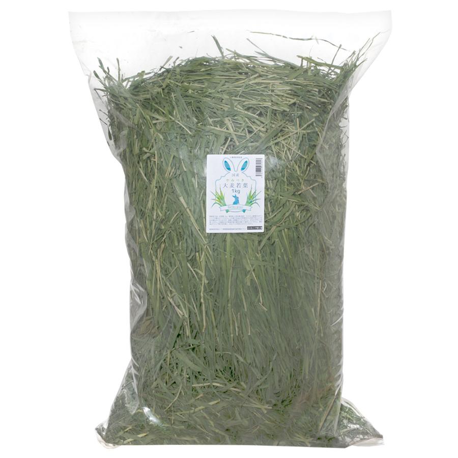 Leaf Corp 国産 やみつき大麦若葉 1kg 業務用サイズ 牧草 Leaf Corp 国産 やみつき大麦若葉 1kg 業務用サイズ 牧草