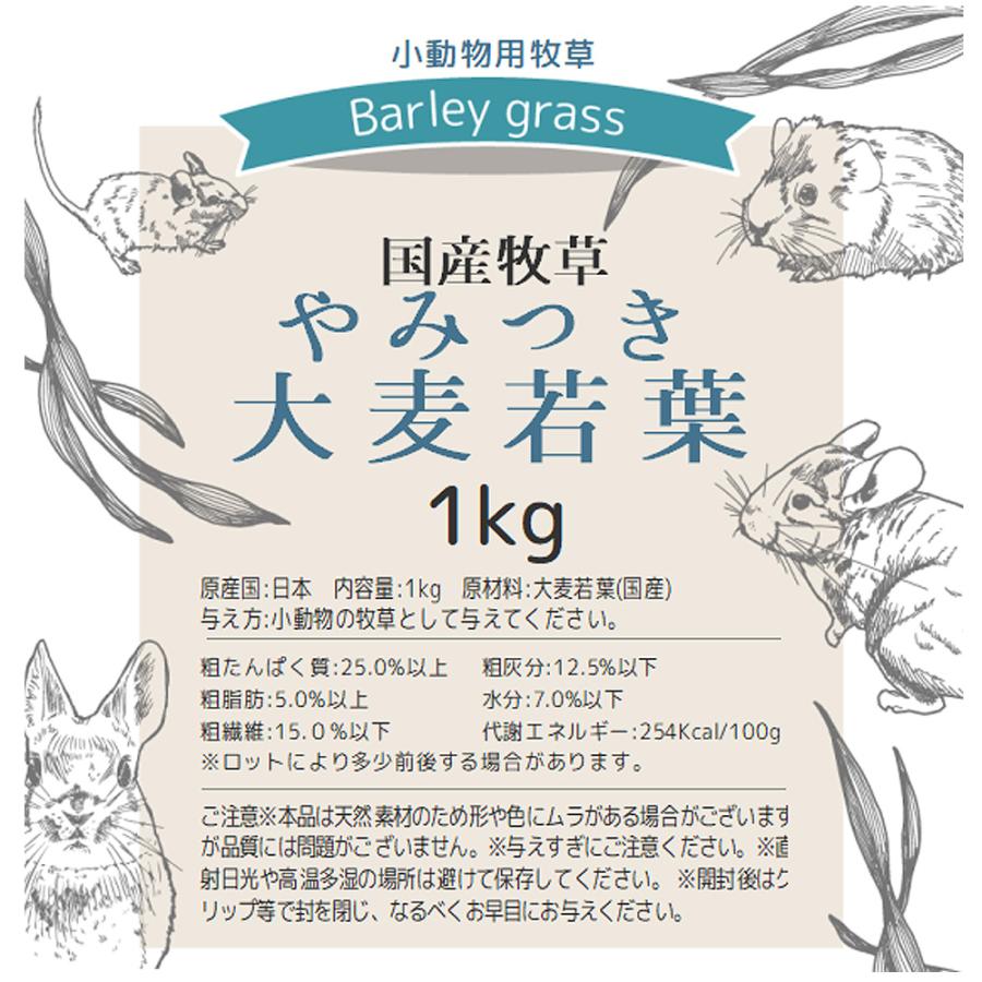 Leaf Corp 令和8年産 国産牧草 やみつき大麦若葉 1kg 業務用サイズ