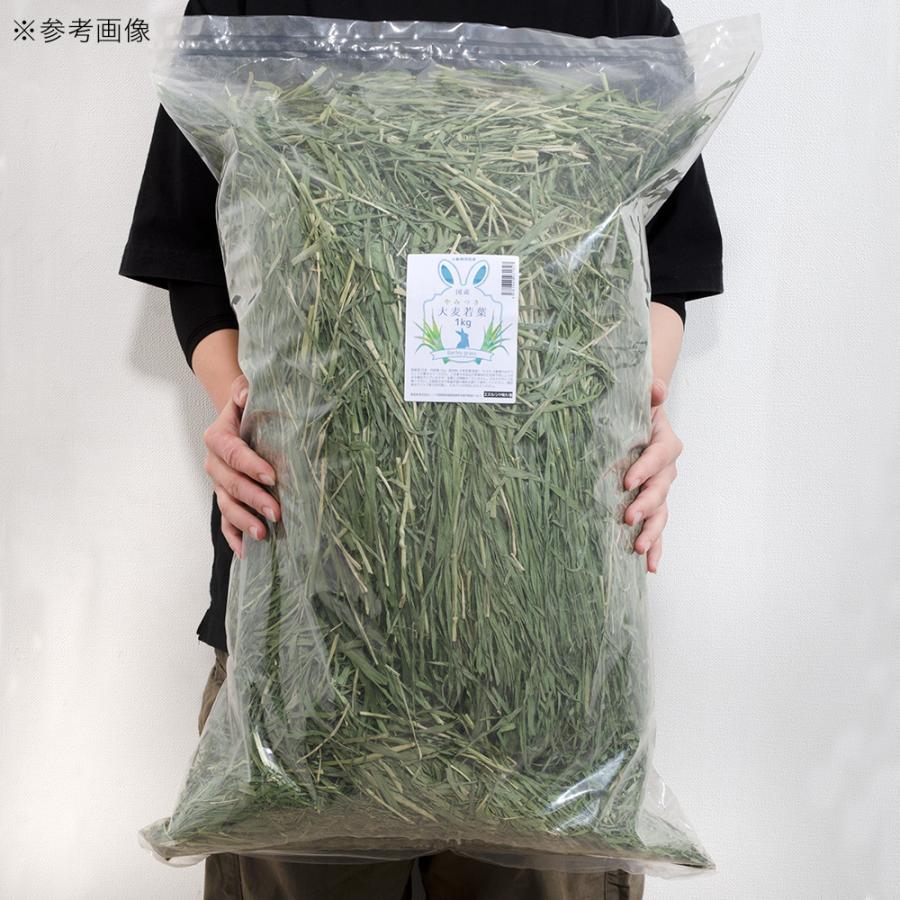 国産　やみつき大麦若葉　１ｋｇ　業務用サイズ　牧草　うさぎ　モルモット　小動物　おやつ　ＵＳＡＹＡＭＡ｜chanet｜07