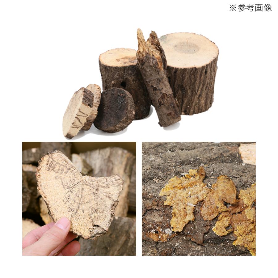 産卵木　端材詰め合わせ　２ｋｇ　太さ・形状・硬さ様々 | Leaf Corp | 01