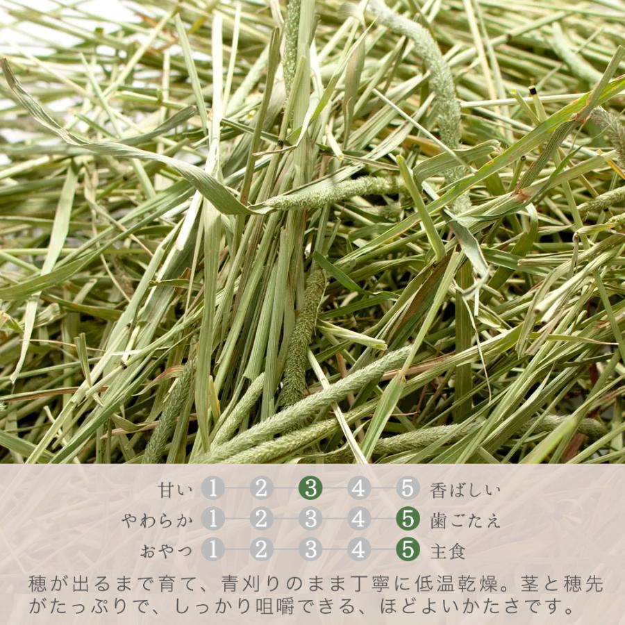 Leaf Corp 令和8年産 国産牧草 青刈りチモシー 300g 牧草 うさぎ