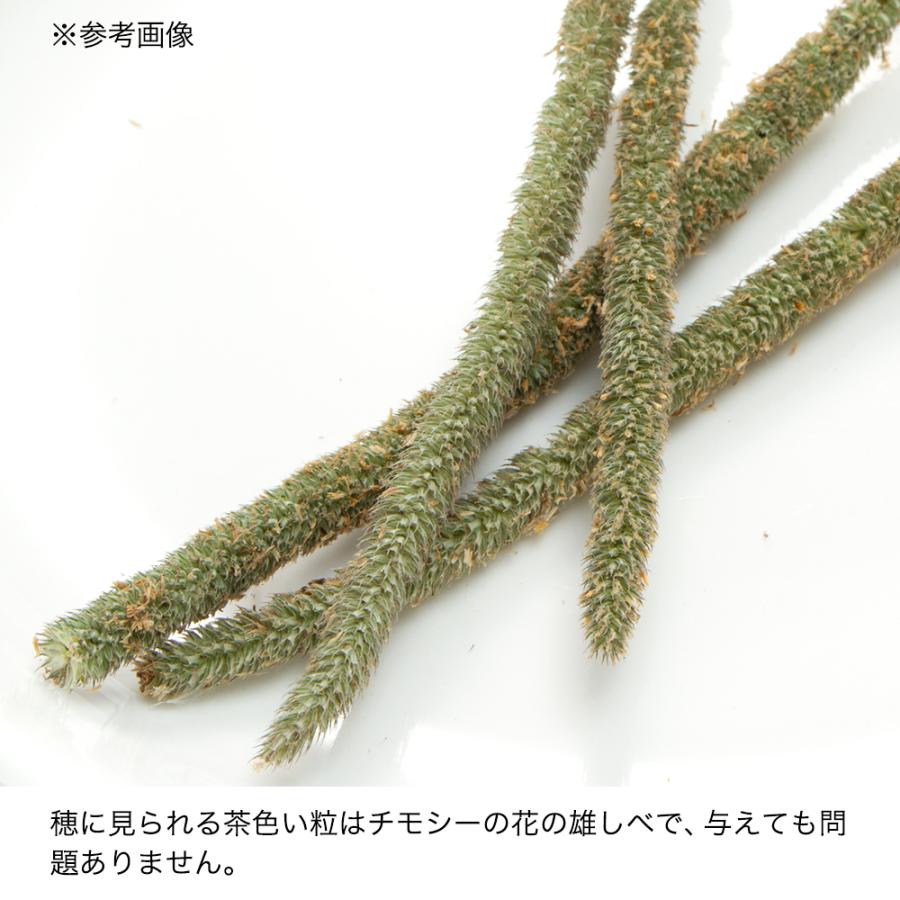 Leaf Corp 令和8年産 国産牧草 青刈りチモシー 300g 牧草 うさぎ