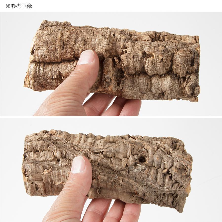 Leaf Corp 形状お任せ 筒型コルク SSサイズ 長さ15cm 蘭 エア