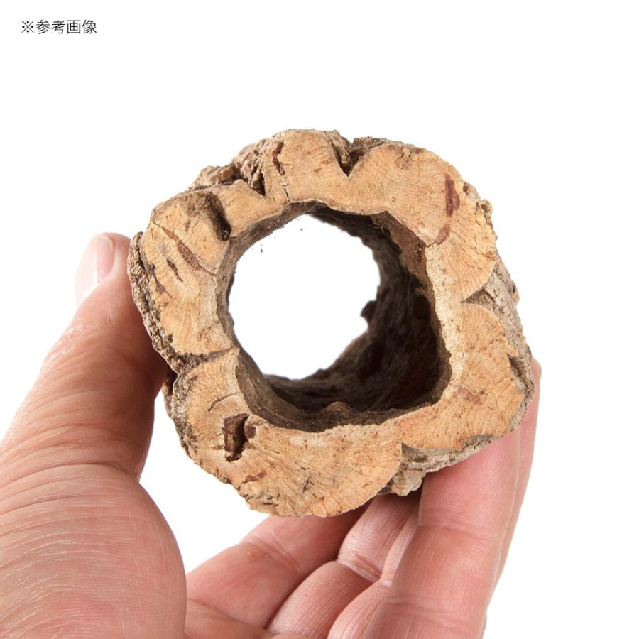Leaf Corp 形状お任せ 筒型コルク SSサイズ 長さ15cm 蘭 エア