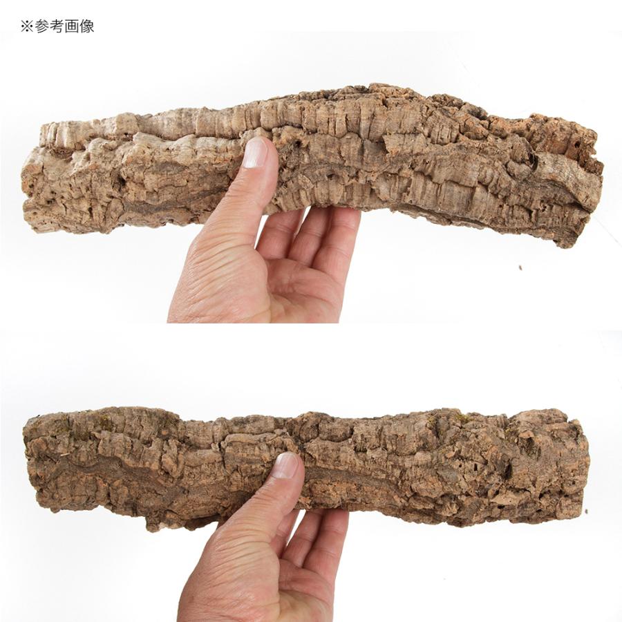 Leaf Corp 形状お任せ 筒型コルク SSサイズ 長さ30cm 蘭 エア
