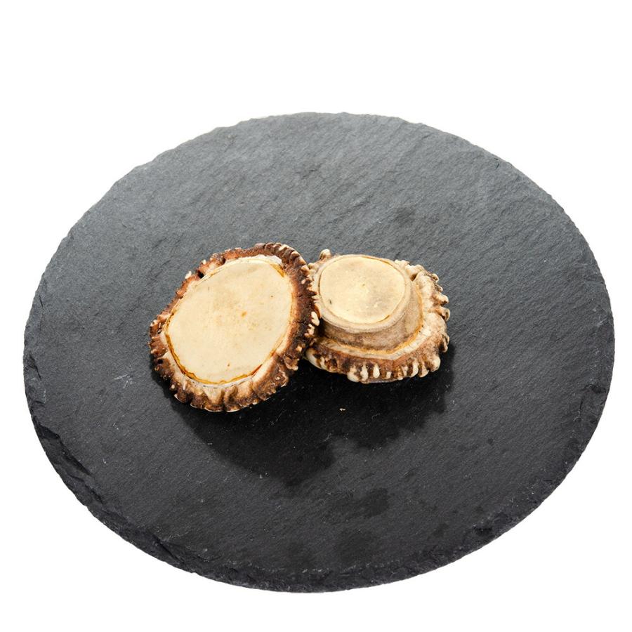 Leaf Corp 鹿の角 コイン 2個 根本 小型犬 中型犬 犬 おもちゃ