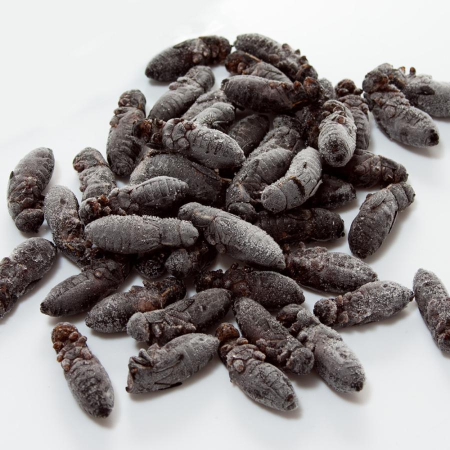 冷凍★冷凍クロコオロギ　真空パック　メガＬサイズ　１００ｇ　爬虫類エサ　無添加　無着色　別途クール手数料　常温商品同梱不可 | Leaf Corp | 01