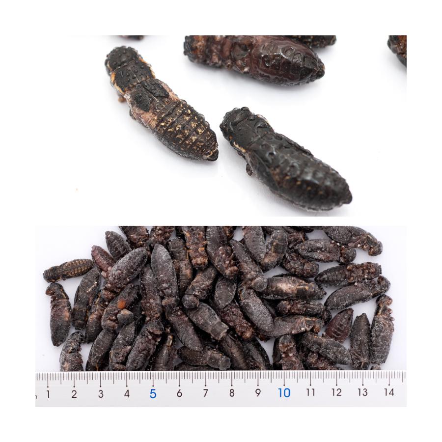 冷凍★冷凍クロコオロギ　真空パック　メガＬサイズ　１００ｇ　爬虫類エサ　無添加　無着色　別途クール手数料　常温商品同梱不可 | Leaf Corp | 03