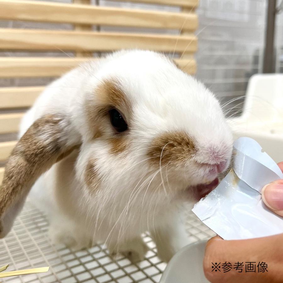 Leaf Corp 国産 愛されうさぎの無添加ピューレ りんご 10g×3本入