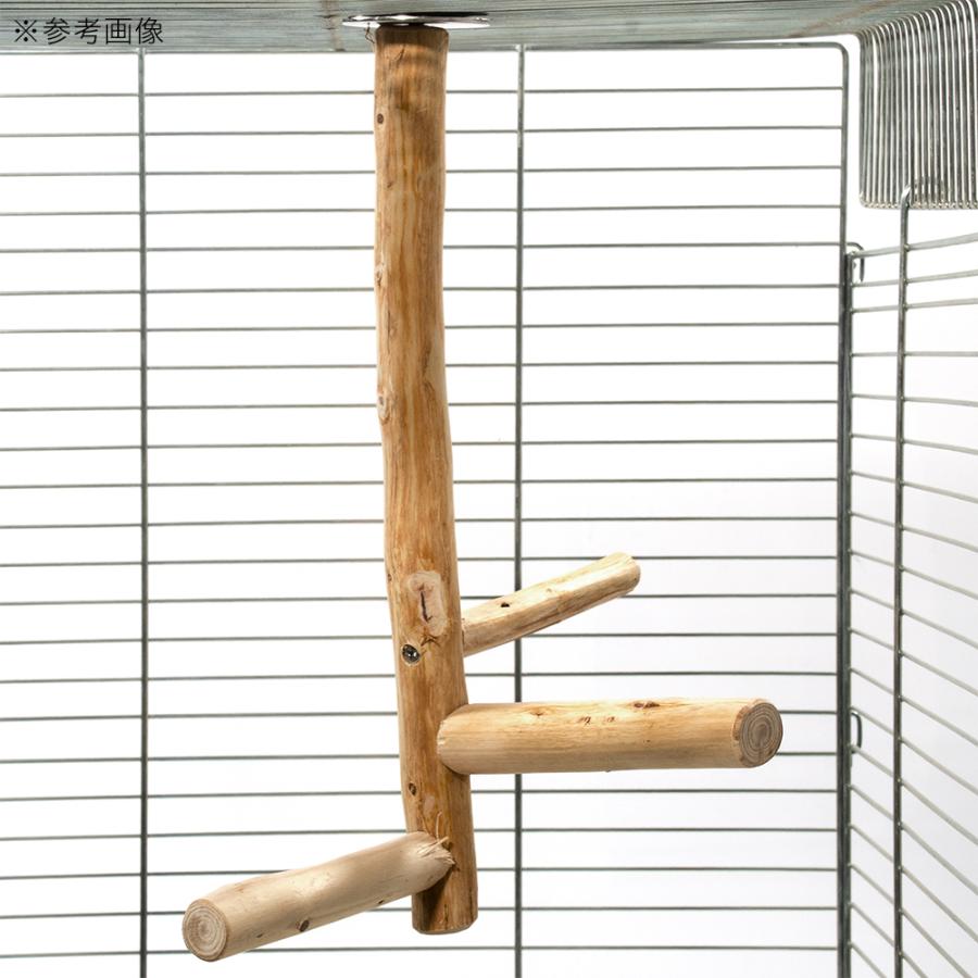 Leaf Corp 鳥 とまり木 ヒノキの吊り下げパーチ 国産 セキセイ 小型