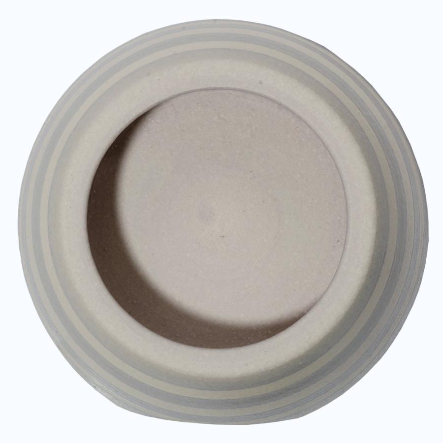 シェルター　ボーダーウェットシェルター　Ｌホワイトバイオレット　信楽焼　爬虫類　両生類 | チャーム（ペット） | 02