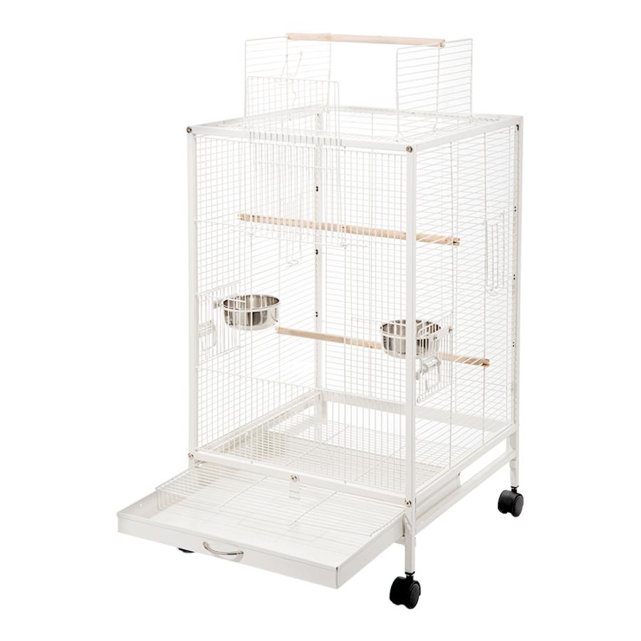 Leaf Corp 中型インコ用ケージ 幅46x奥行き46x高さ77cm