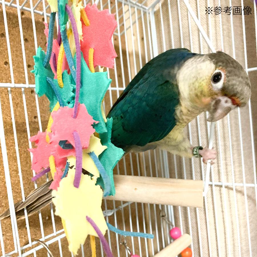 Leaf Corp ゆらゆら カラフルスター セキセイインコ 小型インコ 鳥用