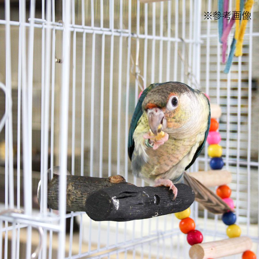 Leaf Corp 小鳥の爪とぎ用 備長炭のとまり木 T字型 ケージ用（小