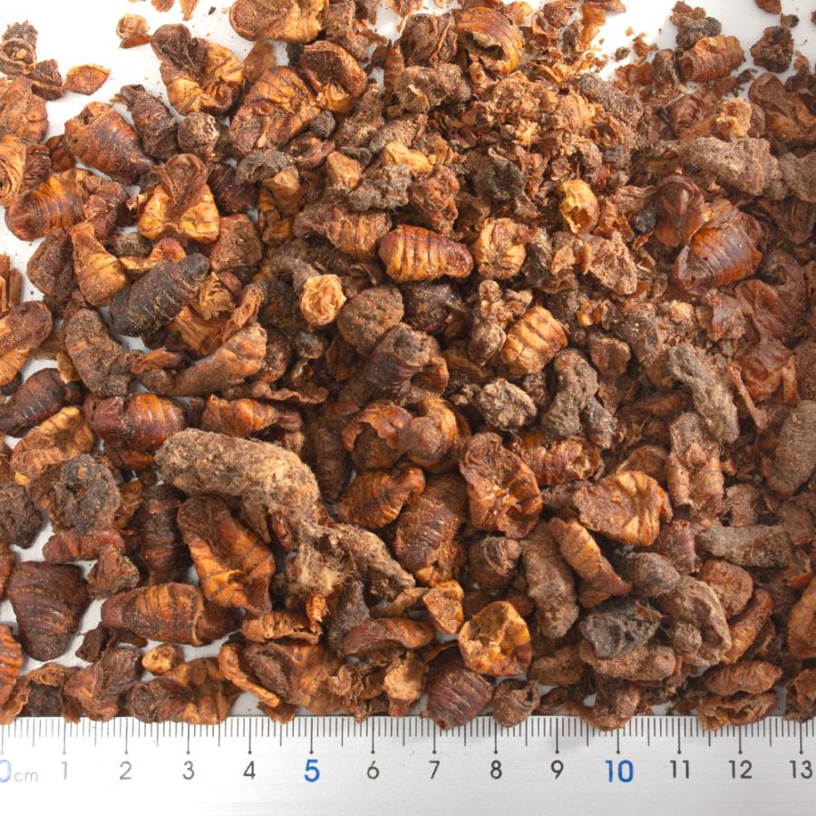Leaf Corp 乾燥シルクワームの蛹 50g 両生類 爬虫類 ハリネズミ