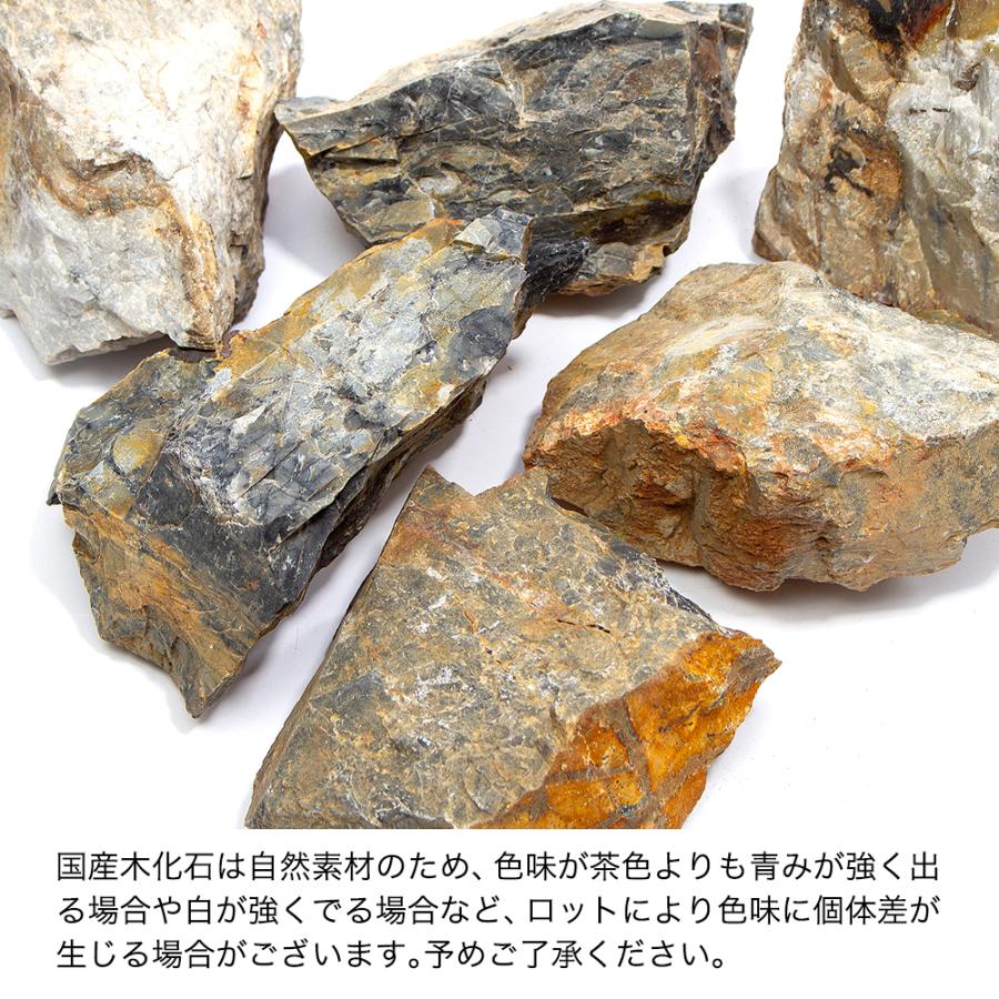 チャーム（charm） 形状お任せ 国産木化石 茶 サイズミックス 5kg